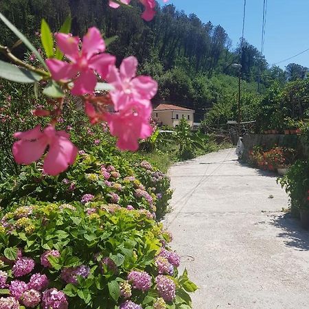 Casa Nonna Anna Villa Maiori Luaran gambar